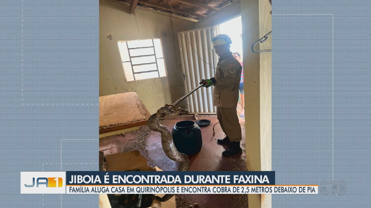 VÍDEOS: Jornal Anhanguera 1ª Edição Regiões desta quarta-feira,12/11/2025