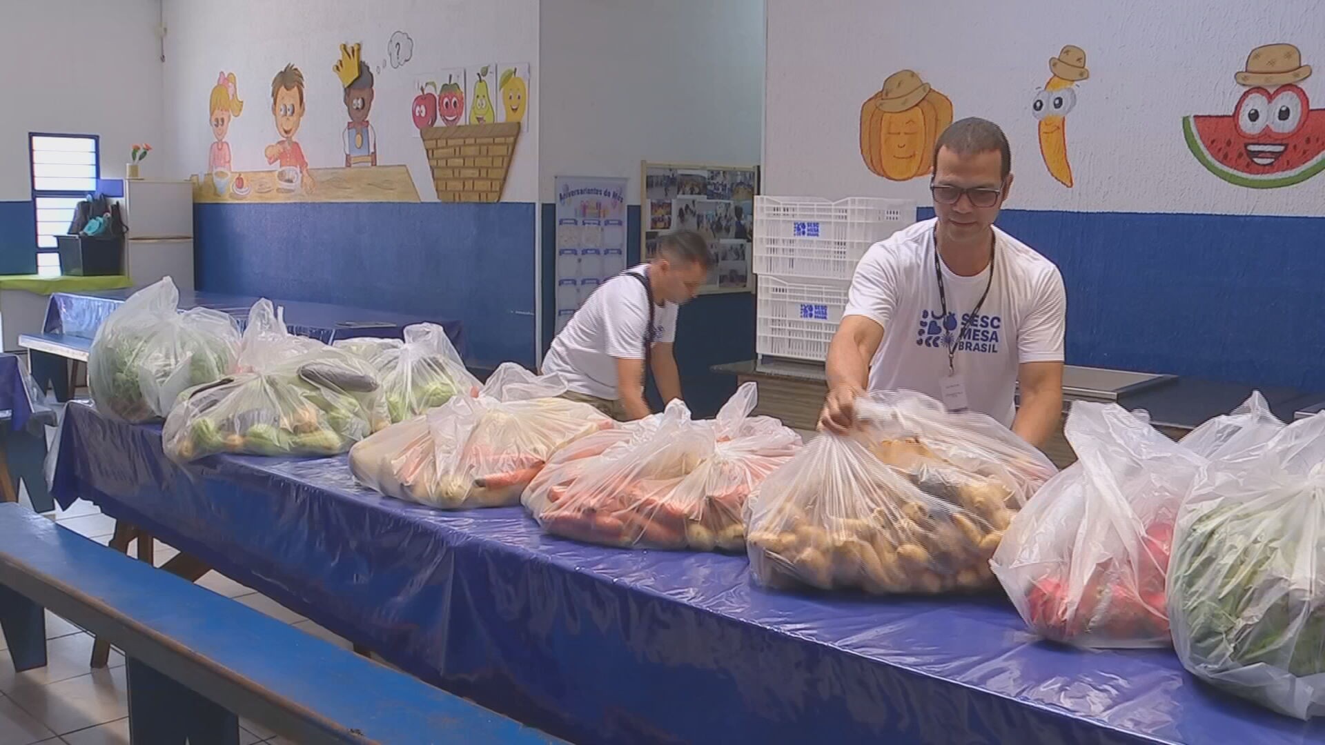 Conheça o Sesc Mesa Brasil, parceiro da TV TEM em projeto que arrecada alimentos para entidades