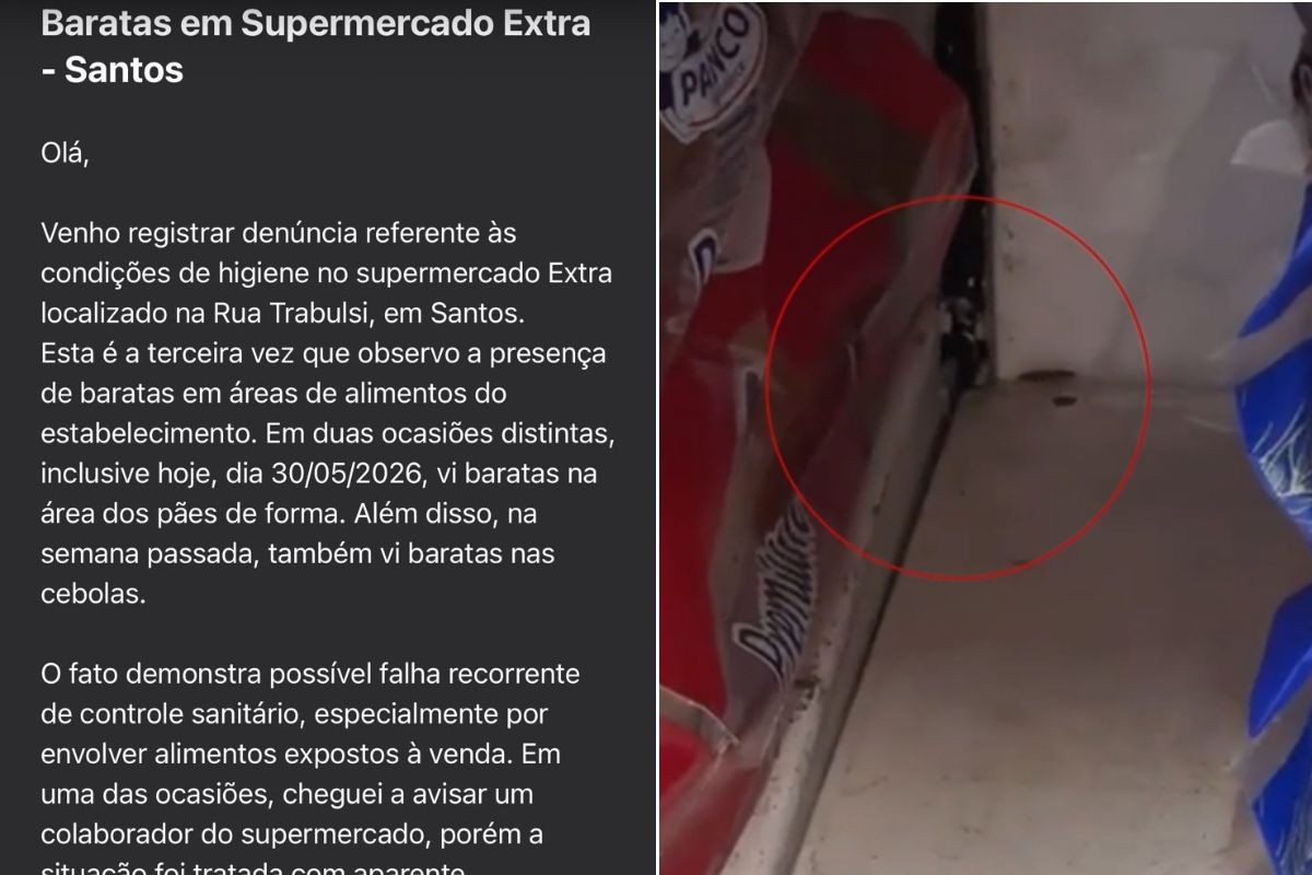 Cliente filma barata em prateleira de pães em mercado no litoral de SP; VÍDEO