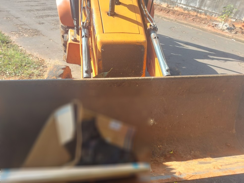 Tutor matou cachorro a pauladas em Regente Feijó (SP) — Foto: Polícia Militar Ambiental