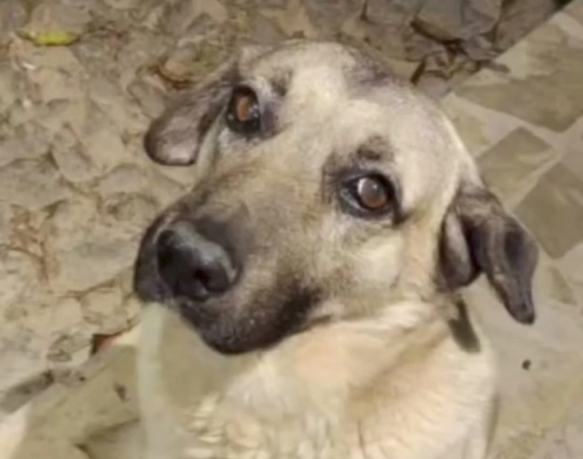 Você Não Tá Convidada pro Meu Bat Mitzvá!