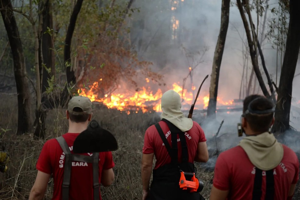 Incêndio no Parque do Cocó, em Fortaleza. — Foto: Governo do Ceará/Reprodução