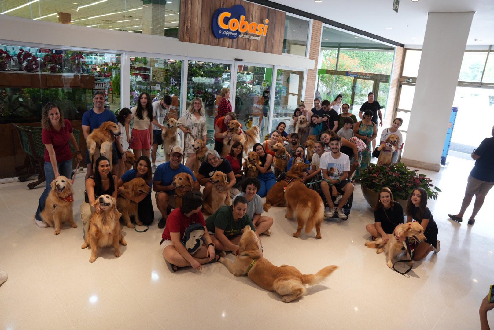 Tutores de Golden Retrievers se reúnem em evento especial de Natal em Ribeirão Preto, SP