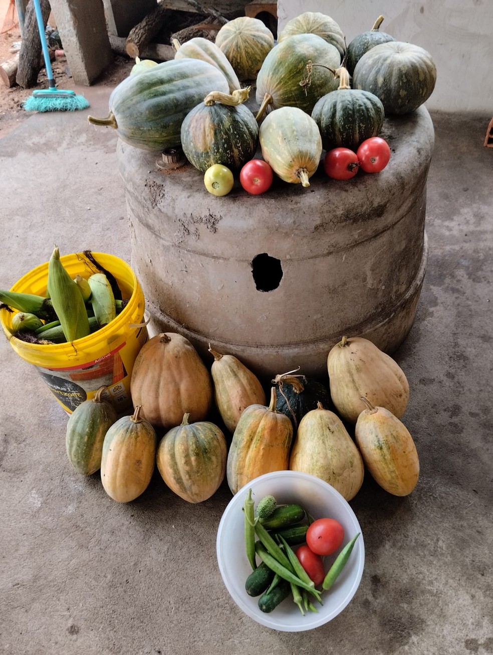 Famílias instaladas há mais de 20 anos em assentamento planta e produz — Foto: Nuamac Araguaína/ Divulgação
