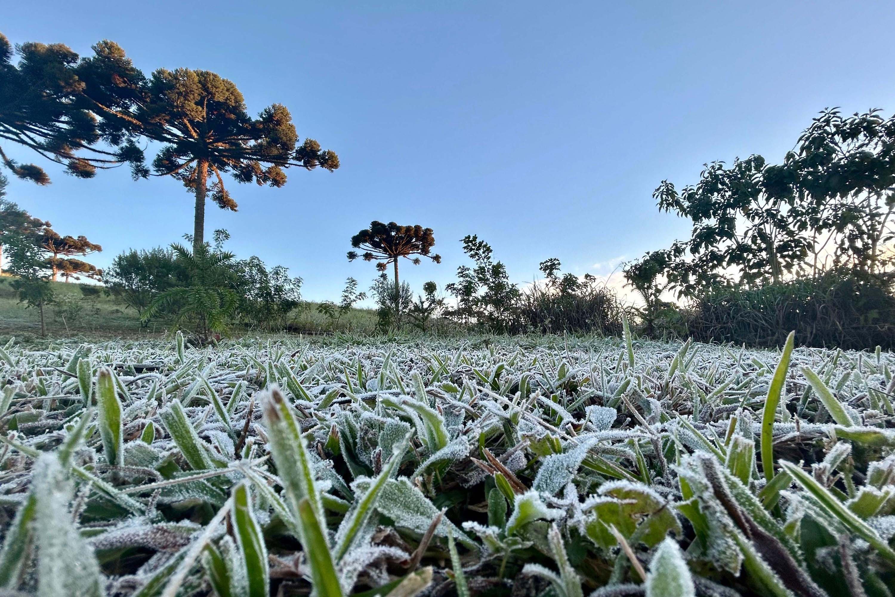 Simepar prevê onda de frio, com termômetros perto de 0°C na próxima semana no Paraná; veja previsão
