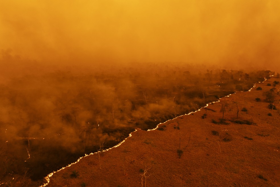 O Pantanal é o bioma com mais municípios que tiveram perdas de áreas naturais, com 82%.  — Foto: Lalo de Almeida/2025 Sony World Photography Awards
