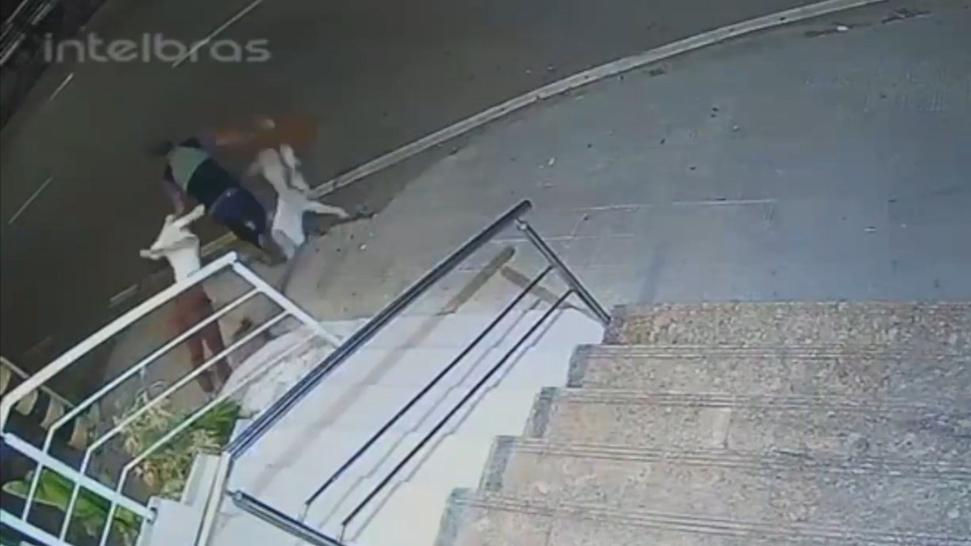 VÍDEO: homem invade loja, arrasta manequins pela rua e depois joga dentro de rio no ES