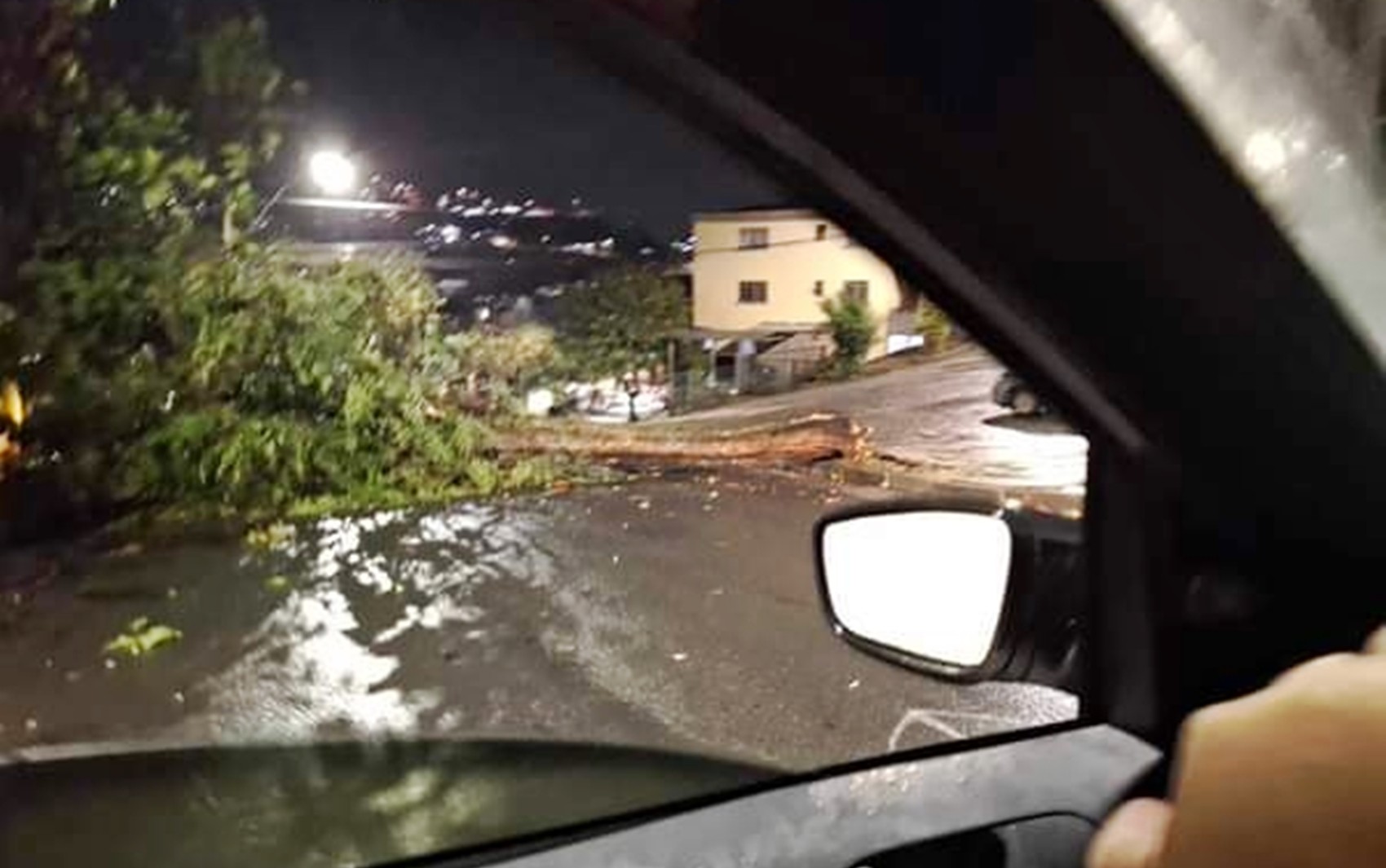 Forte chuva derruba árvores e deixa moradores sem energia elétrica em Poços de Caldas, MG