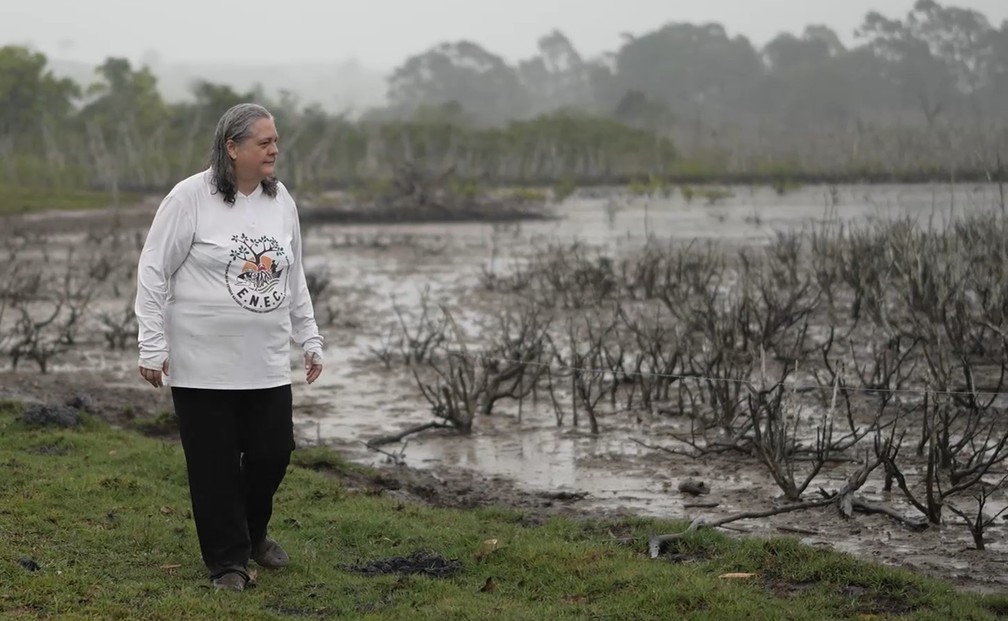 “Infelizmente é um mangue morto. O que podemos ver é esqueleto", diz professora que coordena projeto inédito — Foto: Samy Ferreira/TV Gazeta