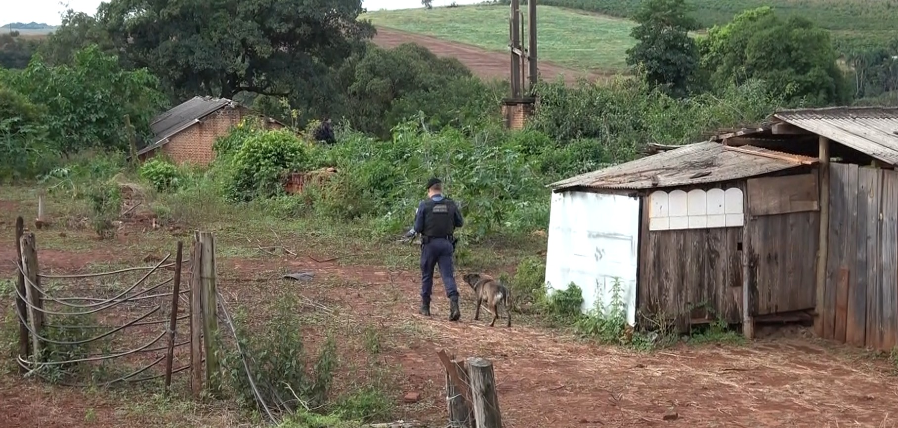 Mulher é presa suspeita de sequestrar filhas de vizinha, no Paraná; crianças foram encontradas a 80 km de casa