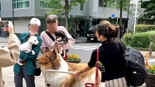 Japonês que gastou R$ 75 mil em fantasia de cachorro faz seu primeiro passeio na rua; veja 