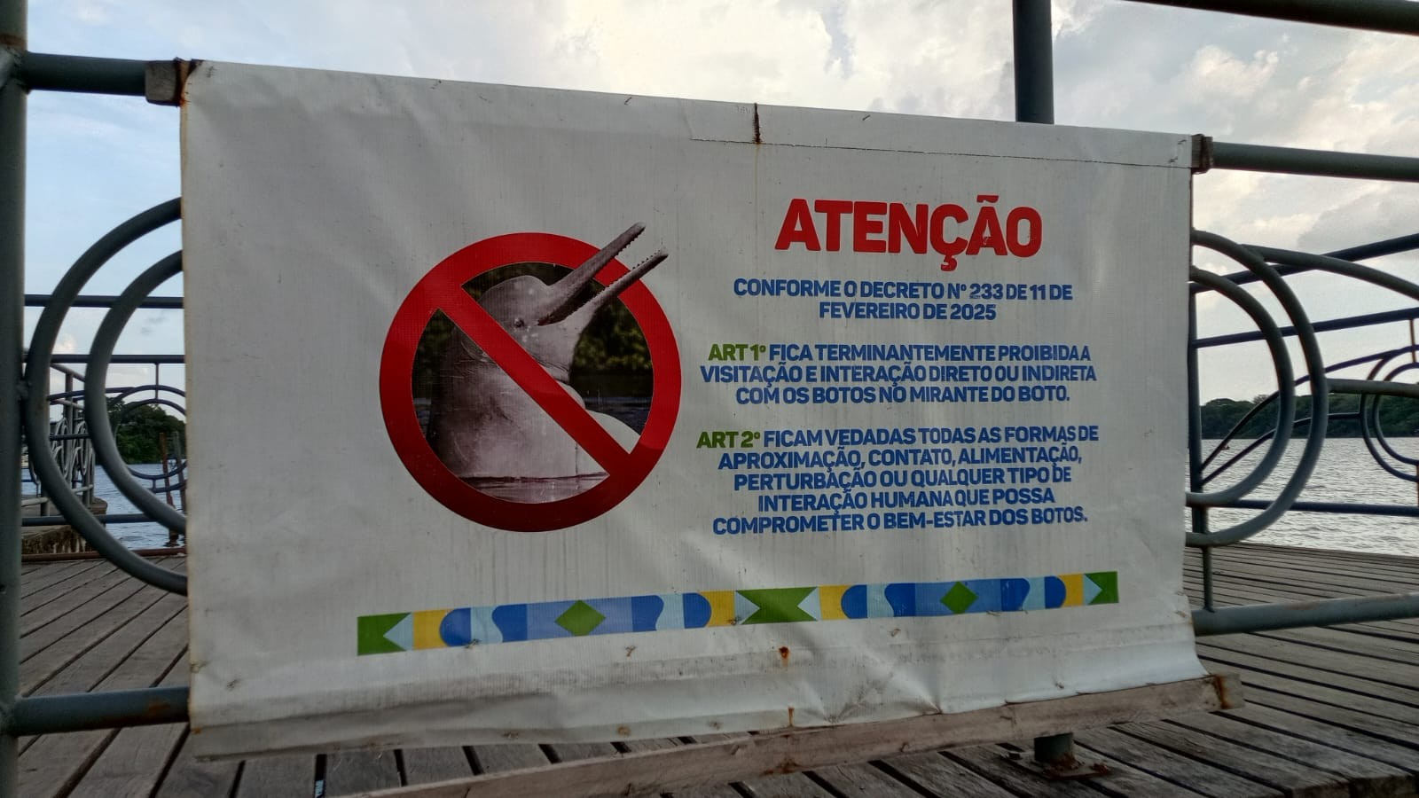 Mocajuba reforça proibição de interação com botos no Rio Tocantins​‌​
