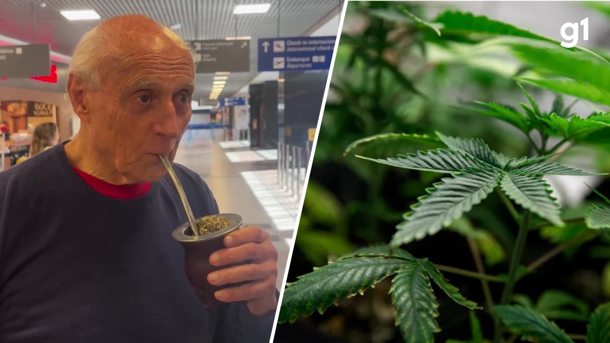 Conheça bebida terapêutica compartilhada por Eduardo Suplicy em visita ao estado