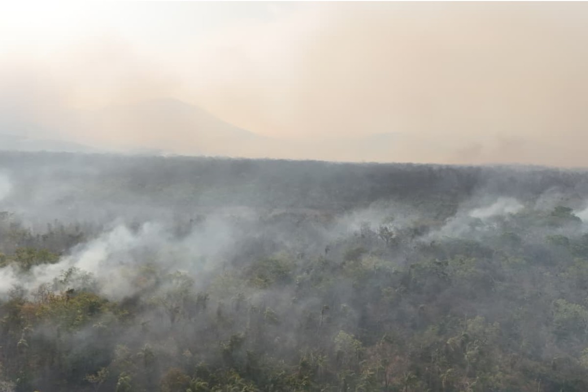Incêndio que atinge santuário no Pantanal já destruiu área equivalente a 15 mil campos de futebol