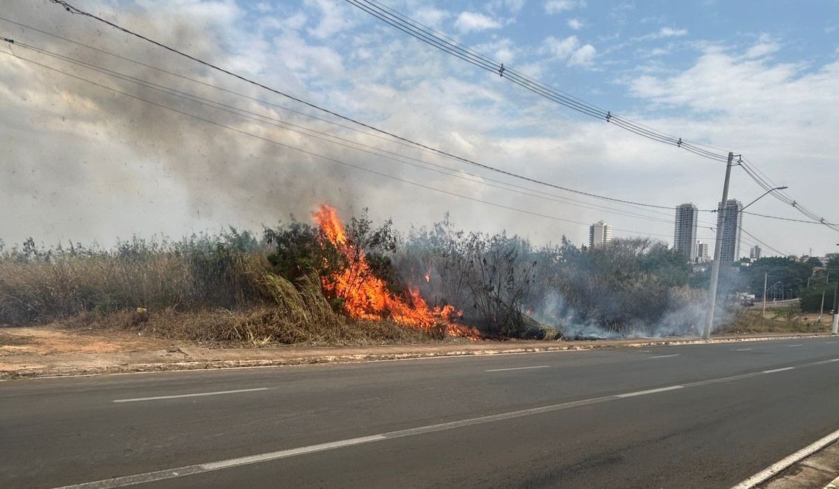 Bituca de cigarro: homem é multado em R$ 4.8 mil após causar incêndio em mata de Santa Bárbara