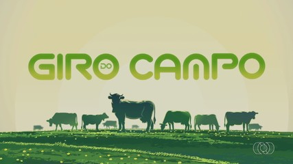 Veja as principais notícias do campo