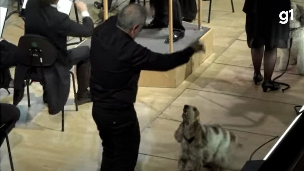 Dogs star live in Leopold Mozart’s ‘Symphony of Hunting’ alongside the Danish orchestra