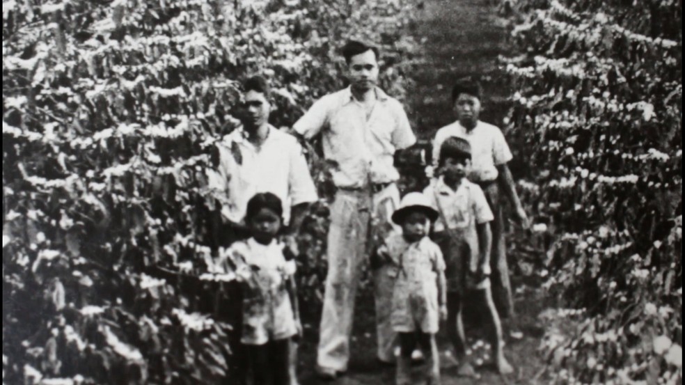 Família de imigrantes em plantações de café — Foto: Foto cedida pelo ARCA/ Nathália Rabelo