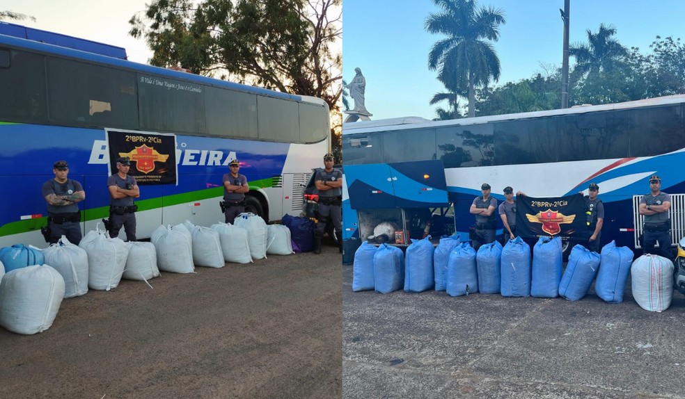 Quase 1,7 tonelada de folhas de coca é apreendida em sete ocorrências no Oeste Paulista — Foto: Polícia Militar Rodoviária/Divulgação