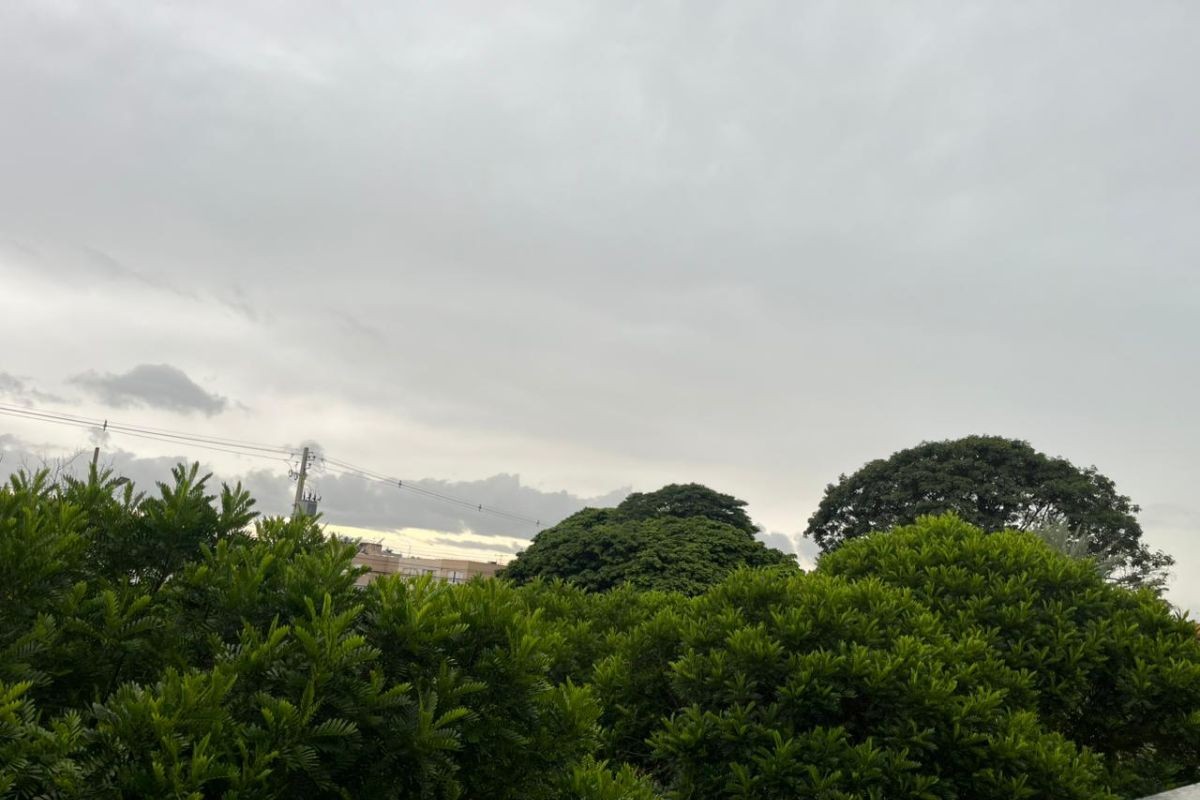 Fevereiro começa com previsão de pancadas de chuva e calor em MS