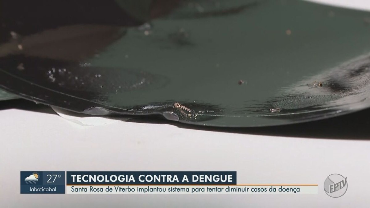 Dengue : comment le piège et la technologie ont aidé une ville de l’intérieur du SP à passer six mois sans cas |  Ribeirão Preto et Franca