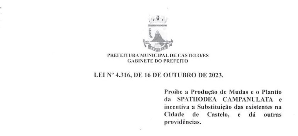 Lei municipal de Castelo, no ES, proíbe plantio de árvore considerada assassino — Foto: Reprodução
