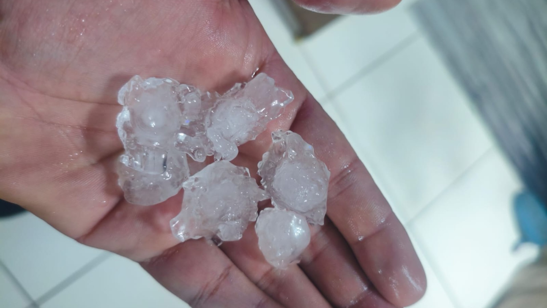 Granizo cobre bairros da região Oeste de Uberlândia e vento provoca queda de árvore