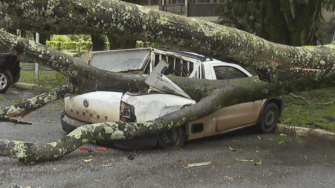 Temporal causa alagamentos e estragos no DF nesta terça-feira (24); veja IMAGENS