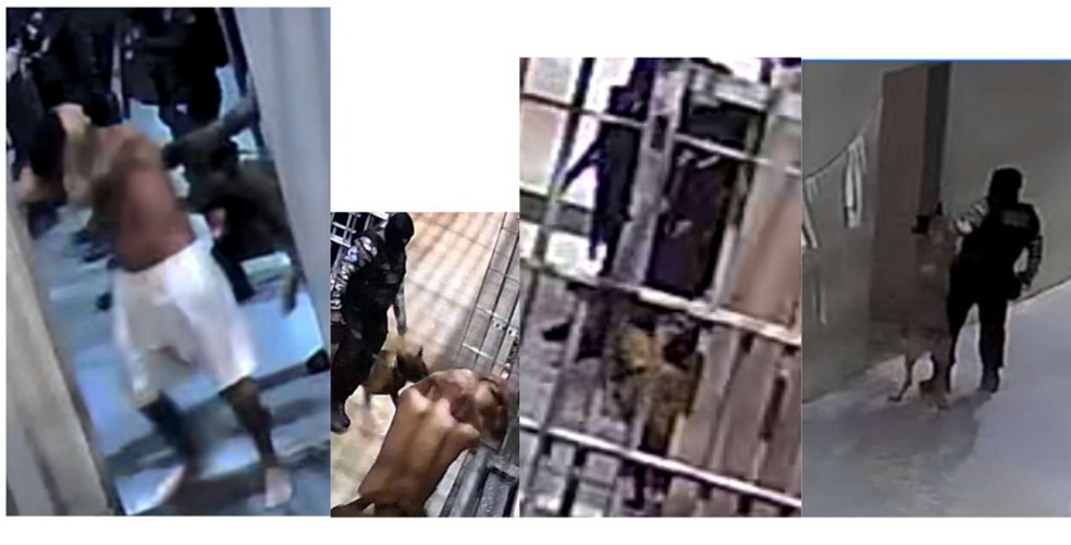 C&atilde;o se prepara para morder reeducando em penitenci&aacute;ria em MT &mdash; Foto: TJ-MT e GMF