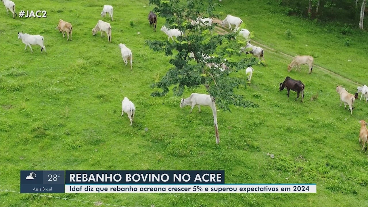 VÍDEOS: Jornal do Acre 2ª edição - AC de terça-feira, 25 de março