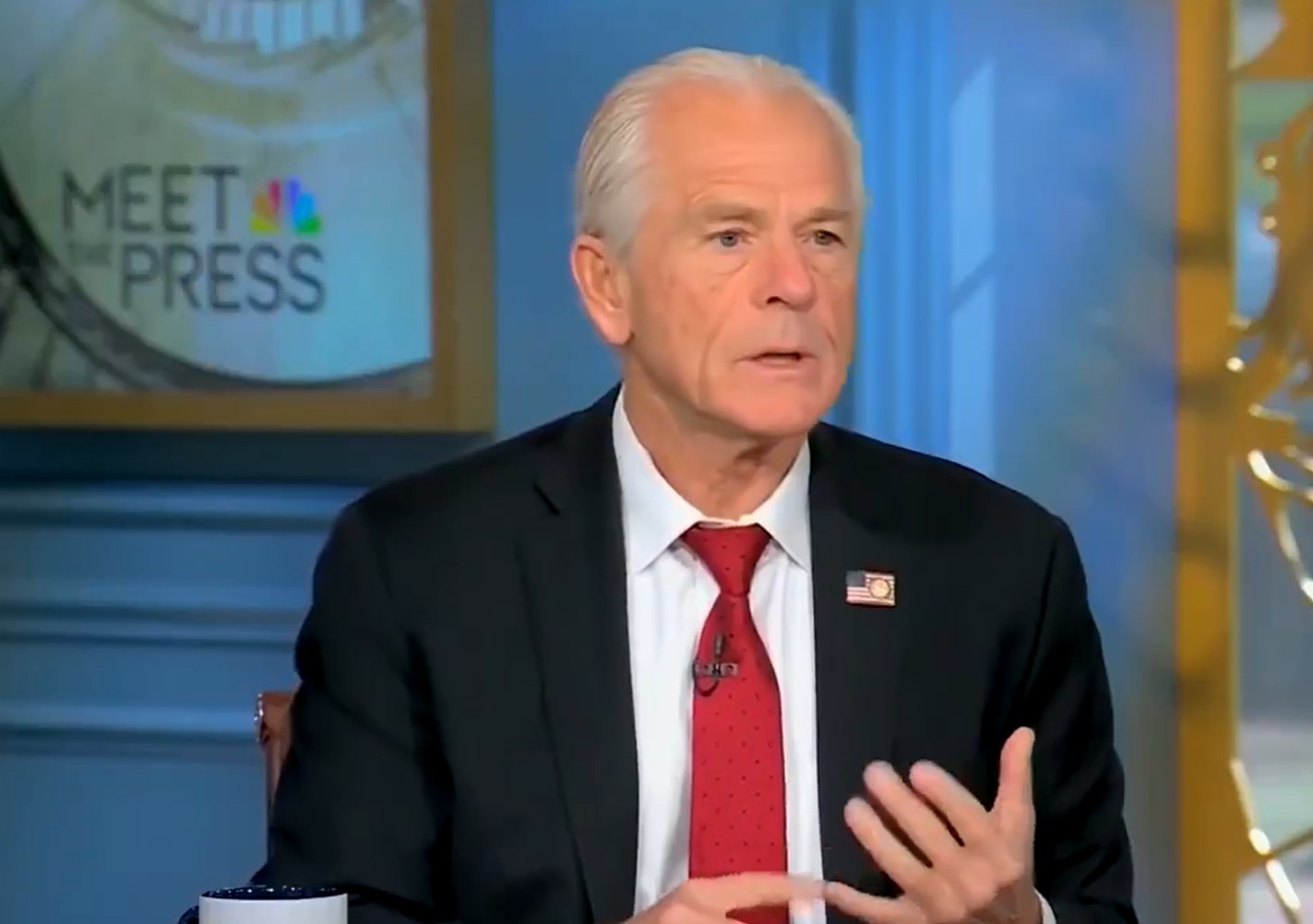 Peter Navarro, chamado de 'imbecil' por Elon Musk, minimiza insulto: 'Já fui chamado de coisas piores'