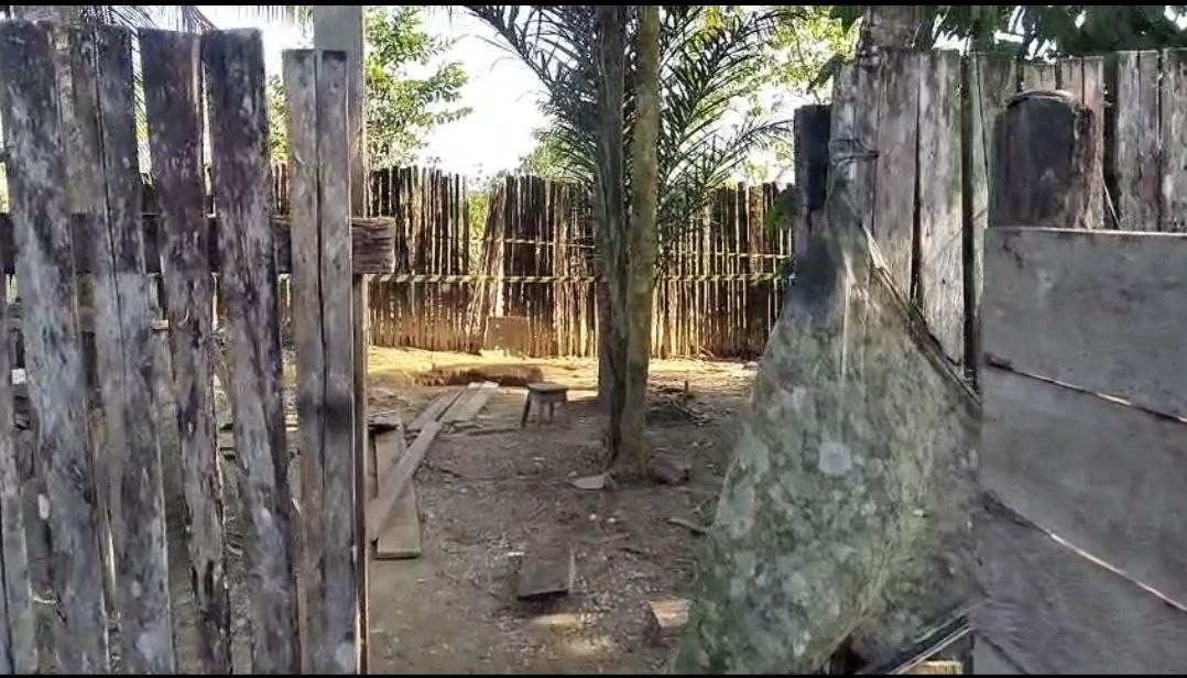 Corpo de mulher é encontrado esquartejado e carbonizado em quintal de casa no Amapá