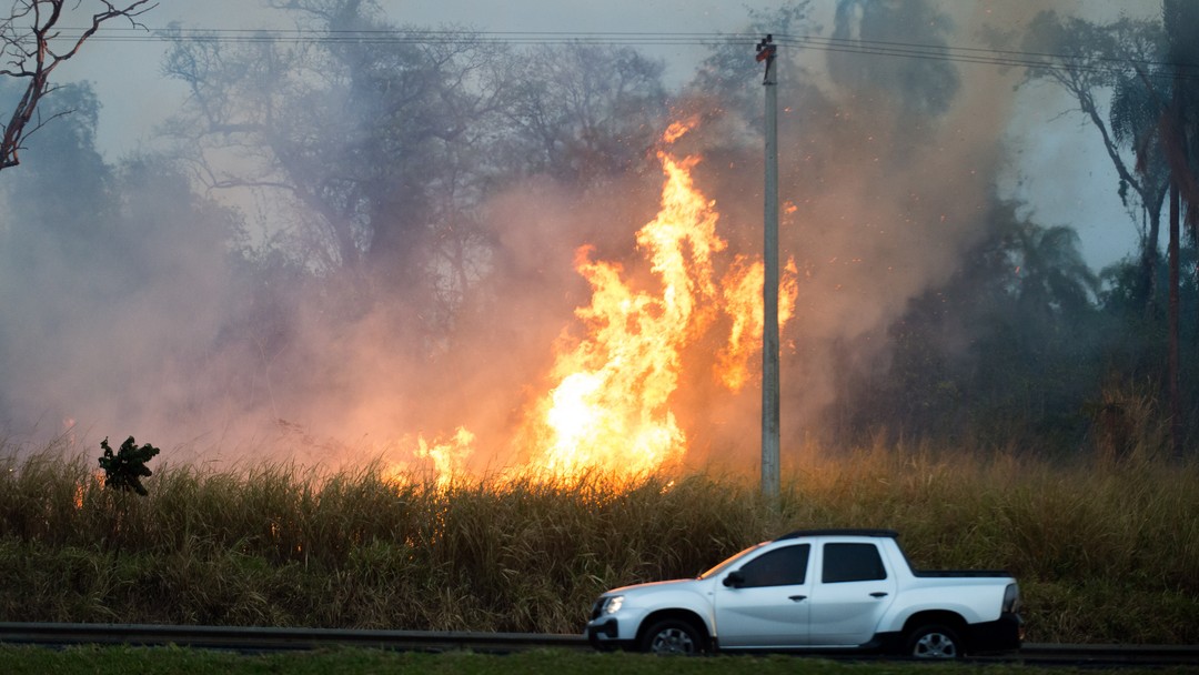 O rastro de destruição no Pantanal: jacaré carbonizado, carcaças