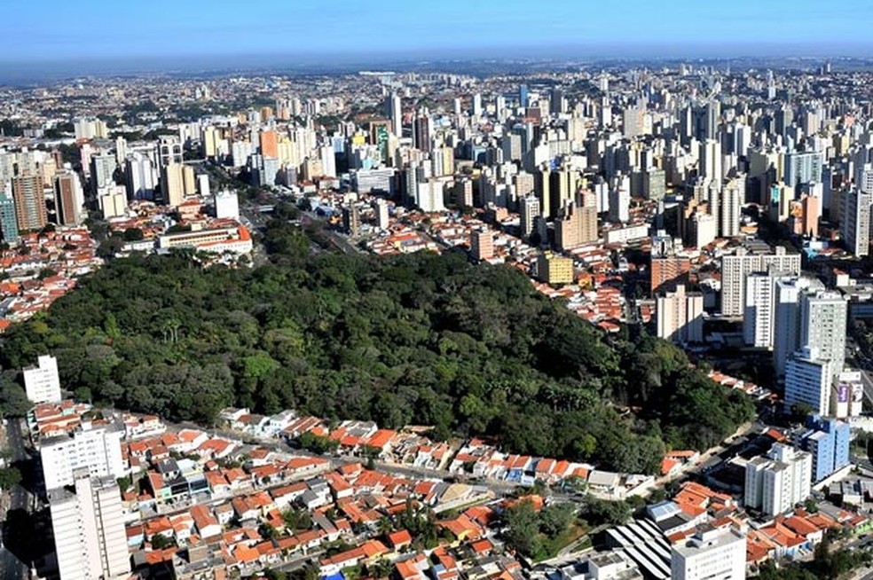 Vista aérea do Bosque dos Jequitibás, em Campinas — Foto: João Mauricio Garcia/G1