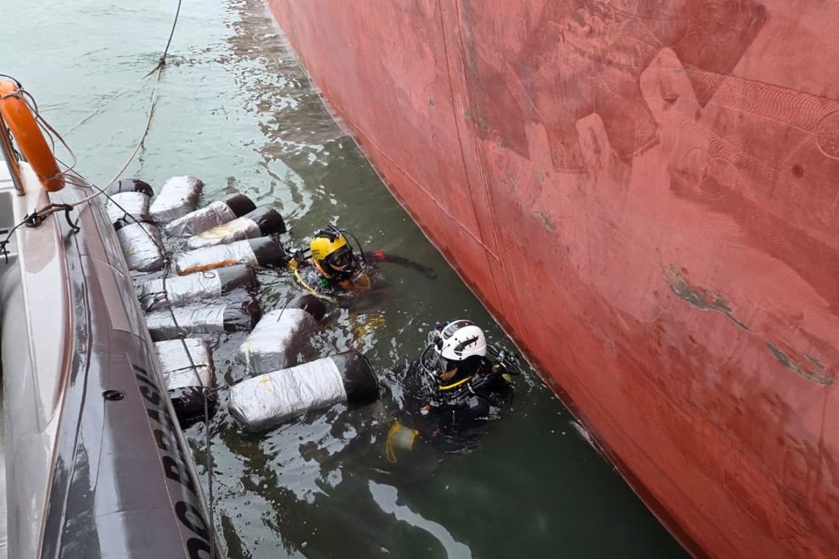 341 kg de cocaína são encontrados em casco de navio e apreendidos no Porto de Santos; veja vídeo