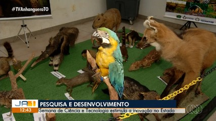 Unitins apresenta projetos inovadores na Semana de Ciência e Tecnologia