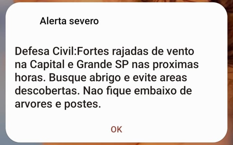 whatsapp-image-2026-07-29-at-13.52.04 Alerta Severo: Ventos de até 90 km/h atingem São Paulo; Congonhas desvia 6 voos
