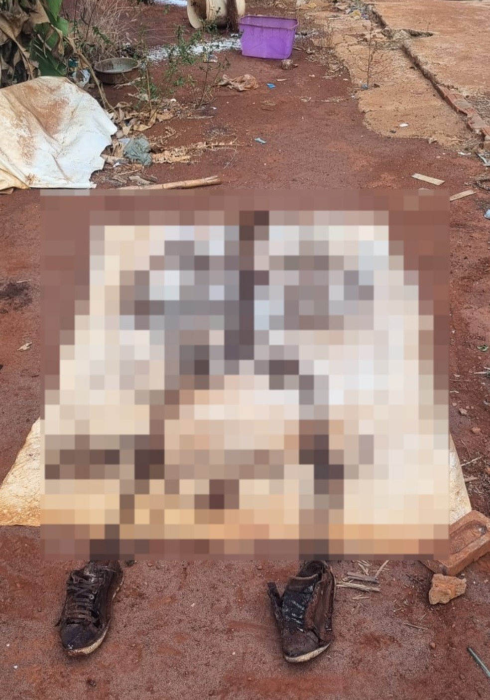 Ossada da vítima encontrada no quintal de casa — Foto: Divulgação