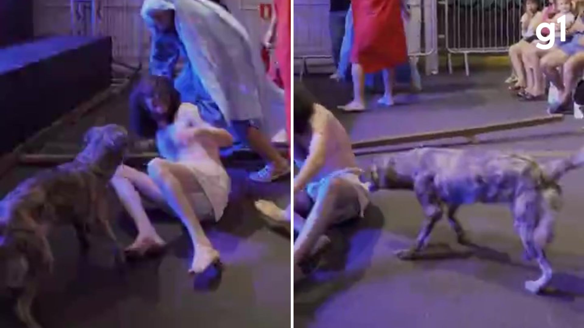 Cadela 'defende' Jesus em encenação no RS e vira símbolo de comoção animal