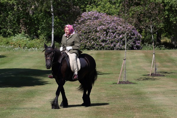 Rainha Isabel II volta a montar a cavalo depois de aparecer publicamente  com uma bengala – Observador