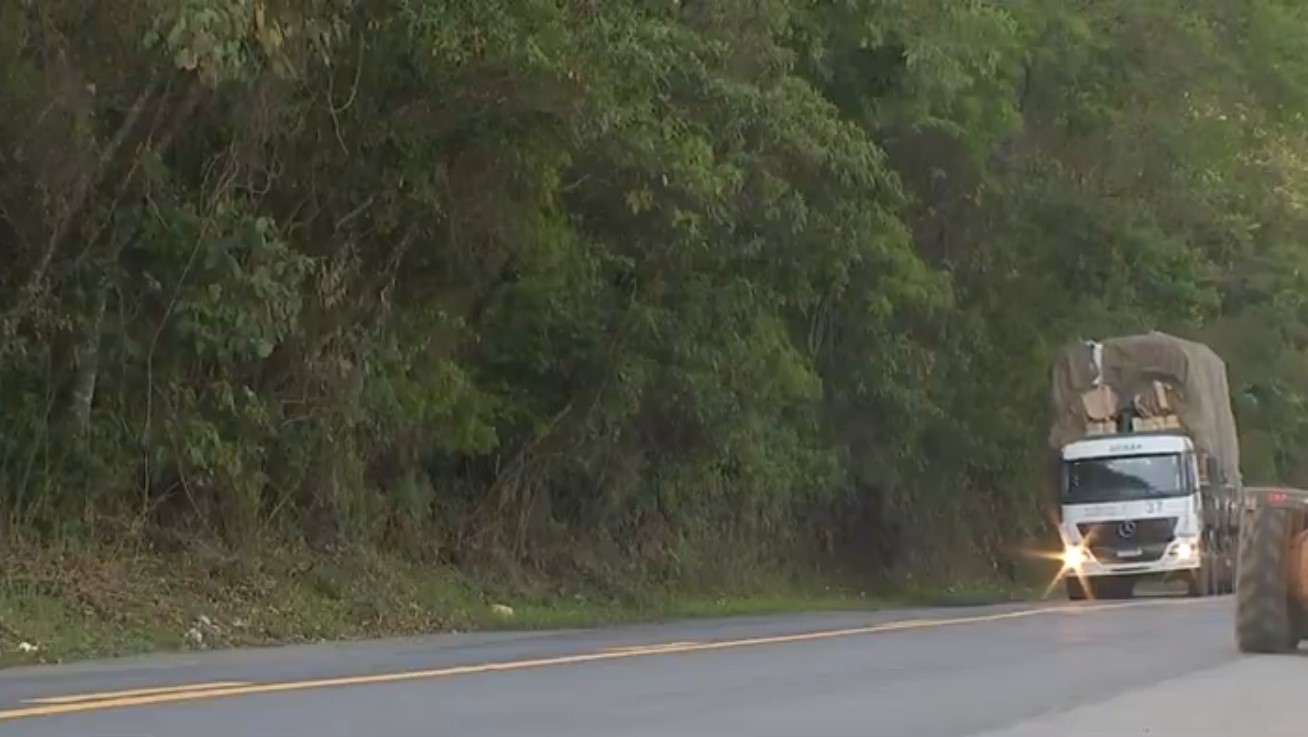 Mulher sem CNH é presa por embriaguez ao volante e tentativa de fuga no interior de SP