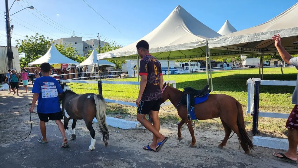 Expoece realiza 70ª edição neste ano, em Fortaleza — Foto: Divulgação