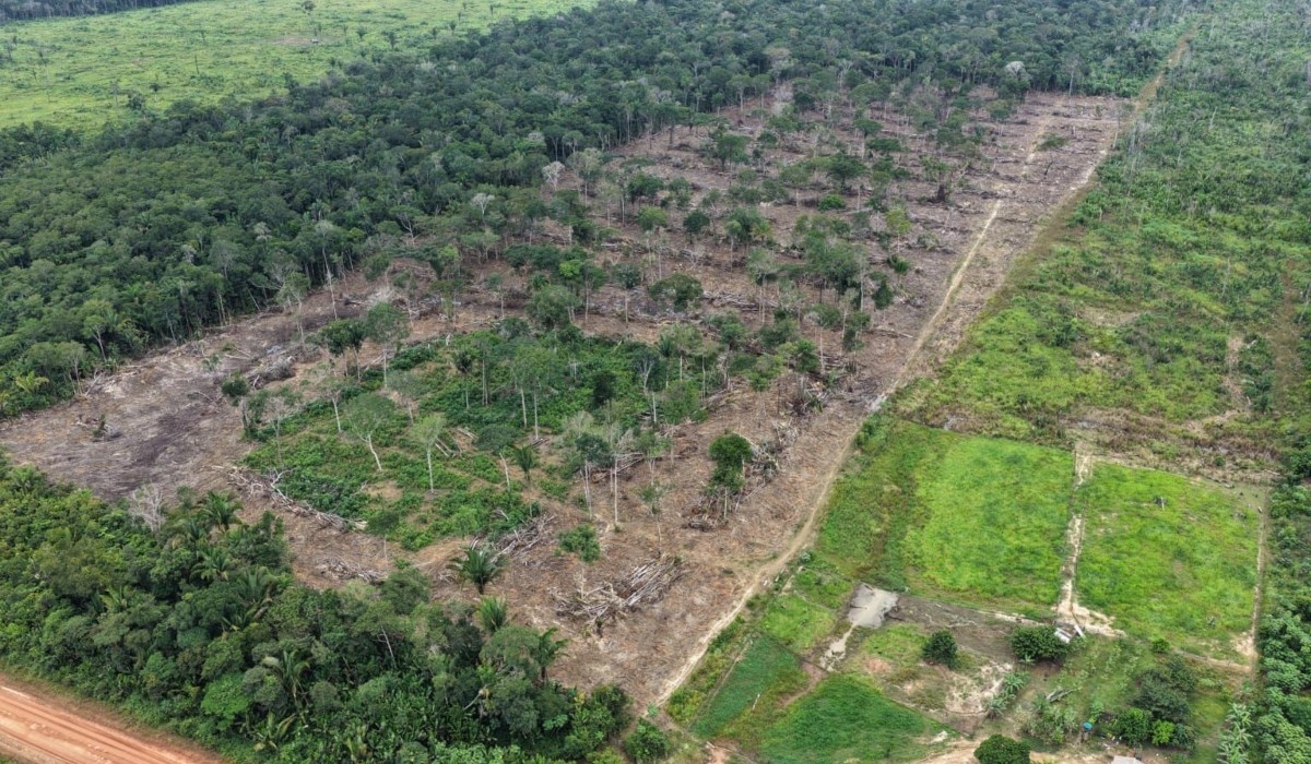 Tamoiotatá 6 combate desmatamento e aplica mais de R$ 28 milhões em multas no Amazonas