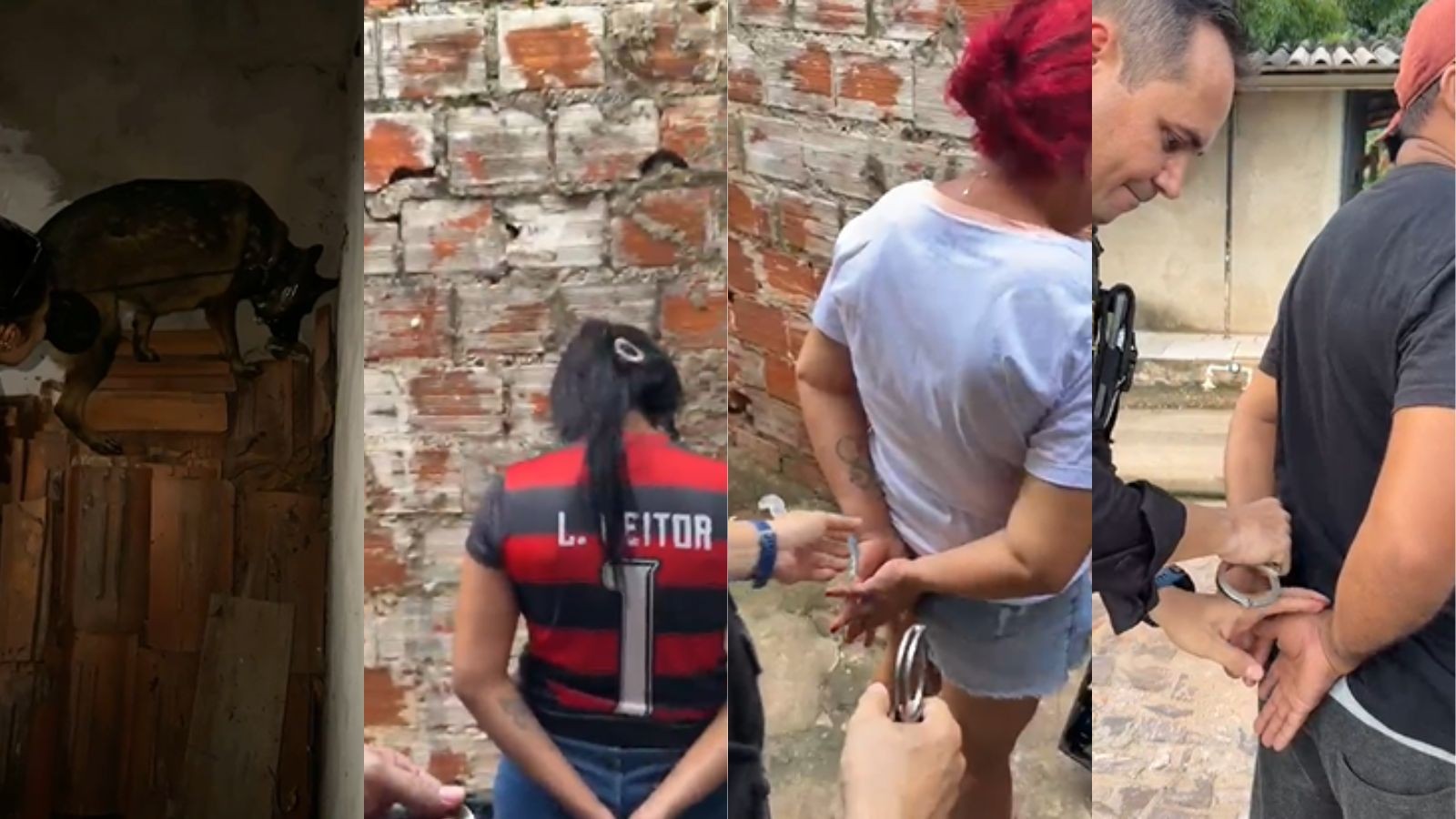 Mãe, filha e companheiro são presos por tráfico em Teresina; cadela farejadora acha droga entre telhas