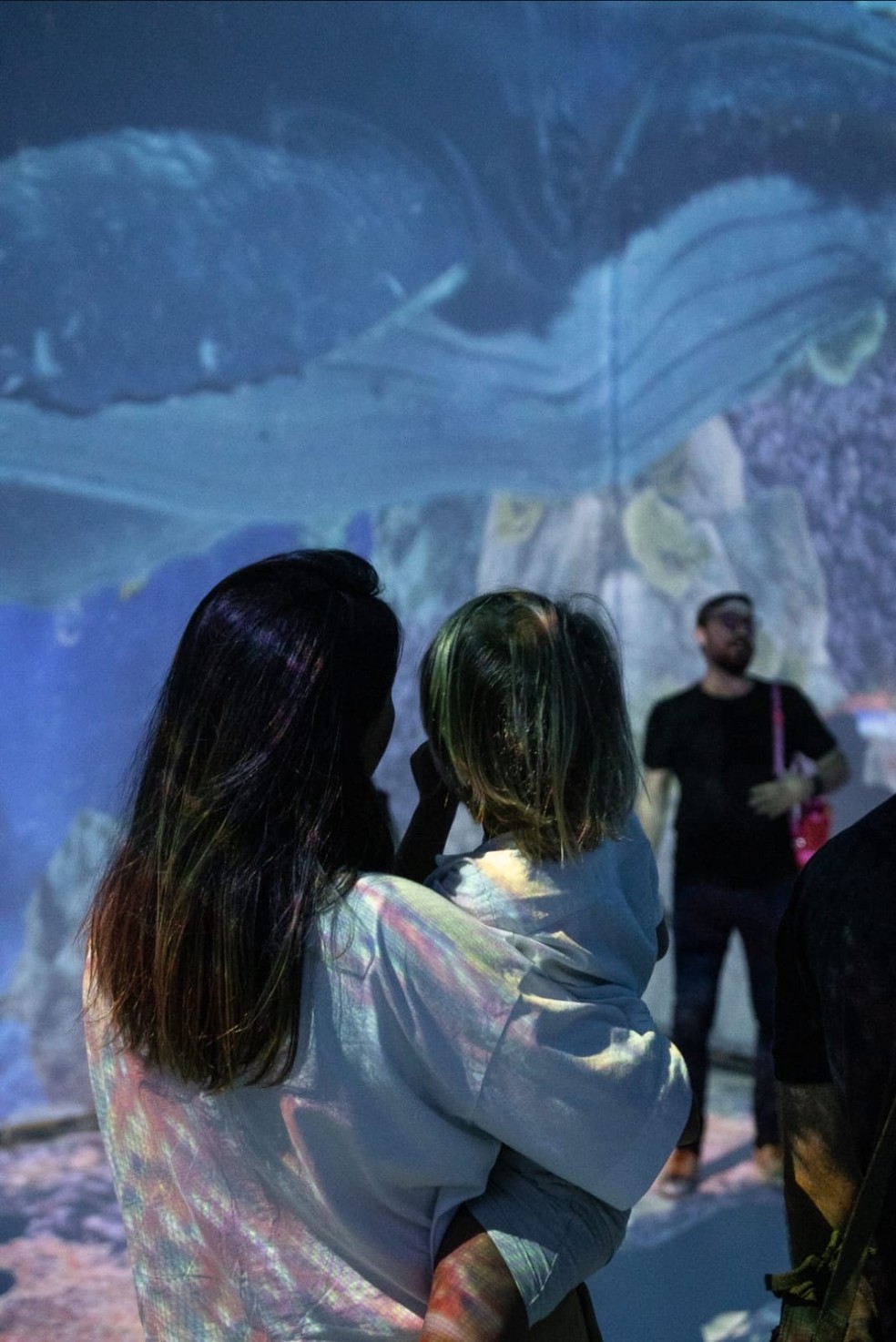 Exposição imersiva Oceano Vivo chega ao Shopping Pátio Maceió — Foto: Shopping Pátio Maceió