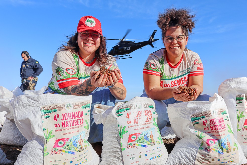 Cerca de 24 milhões de sementes de árvores são lançadas de cima de helicópteros no Paraná — Foto: Juliana Barbosa