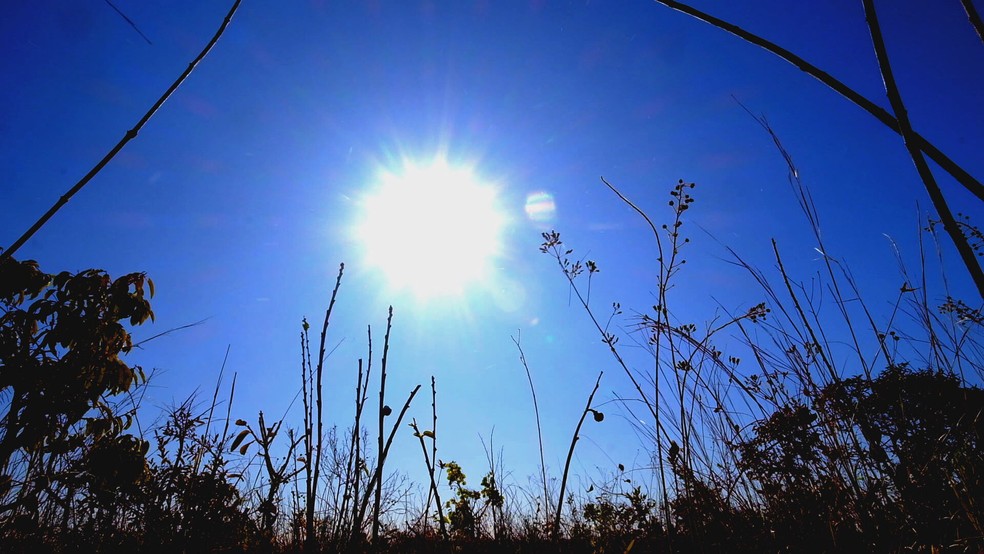 Seca, calor, Cerrado, sol, natureza,  Distrito Federal — Foto: Joelson Maia /Reprodução