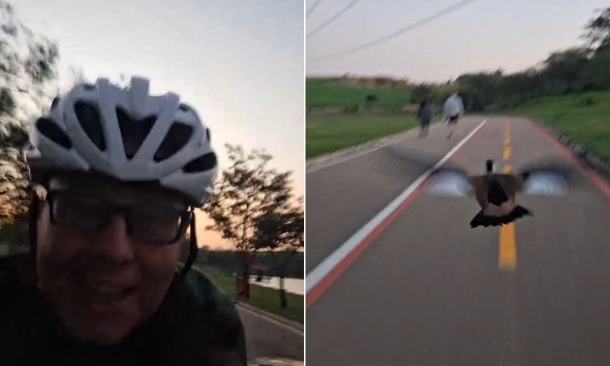 Vídeo inusitado: pato voa ao lado de ciclista durante trajeto em parque