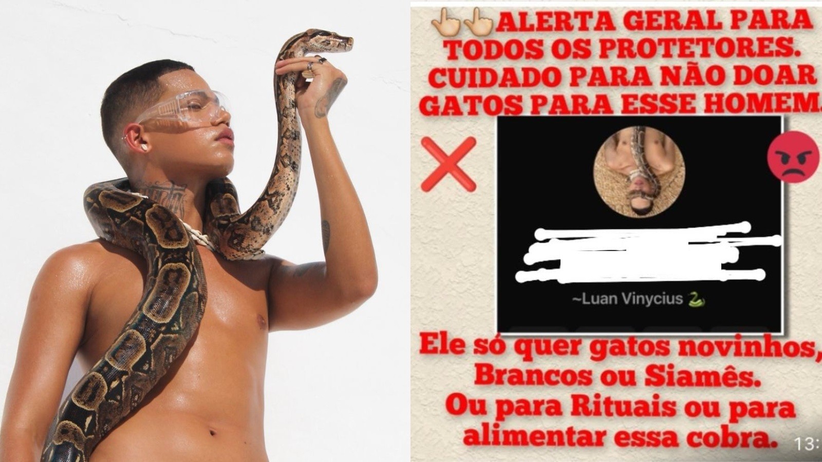 Modelo denuncia fake news de que ele adotava gatos filhotes para alimentar cobra usada em ensaio fotográfico