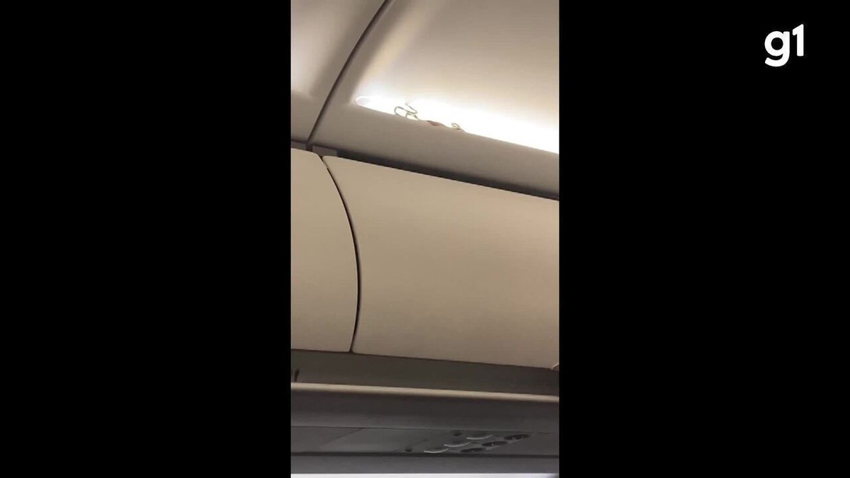 Snake on board: Snake 'invades' plane in Thailand and scares passengers;  Watch the video |  world